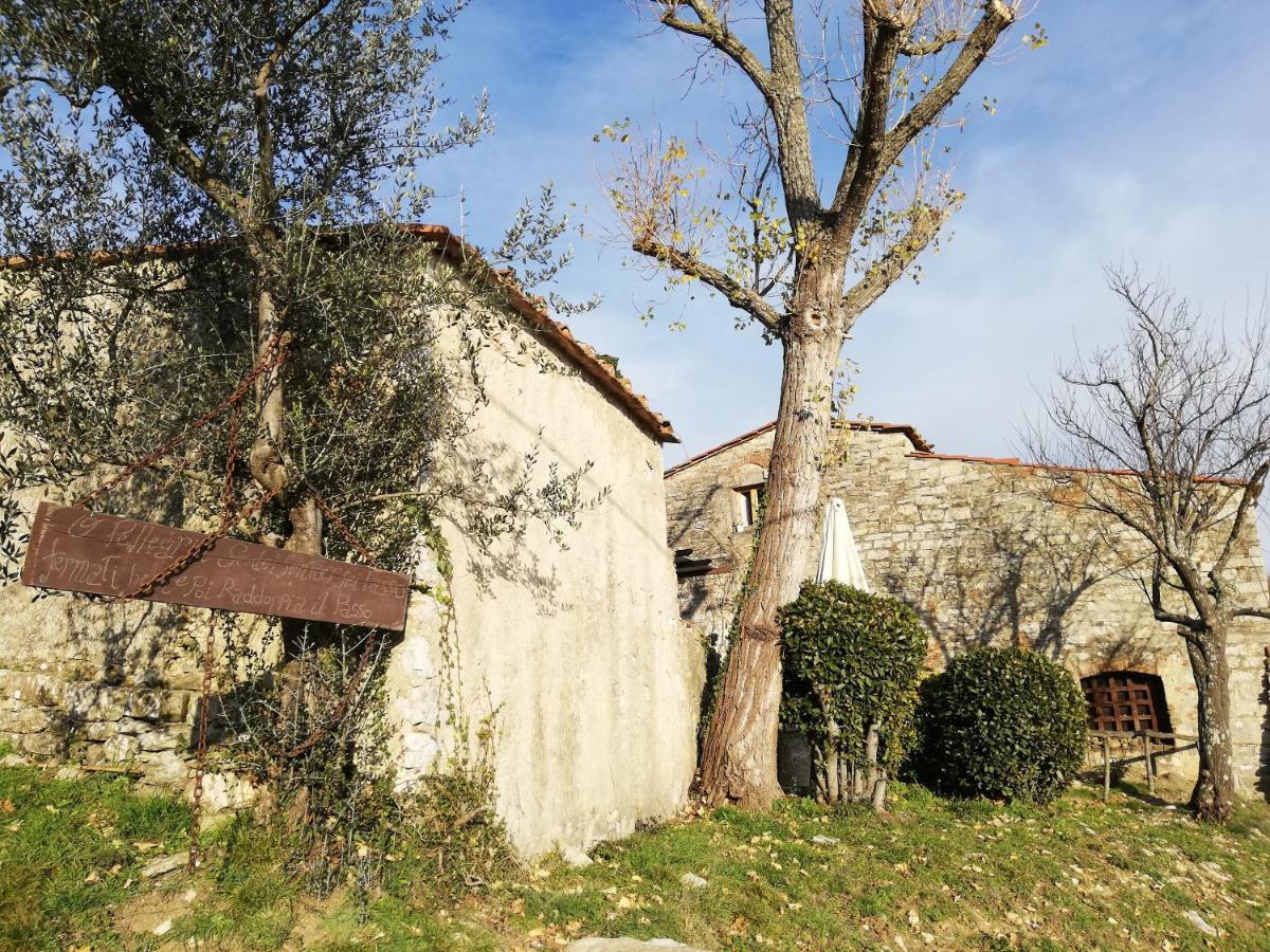 Agriturismo Casamatta Azienda Agricola Calenzano Luaran gambar